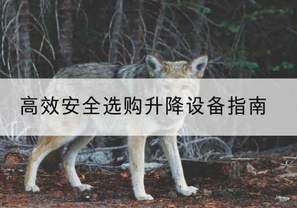 奇台升降货梯厂家推荐-*安全选购升降设备指南