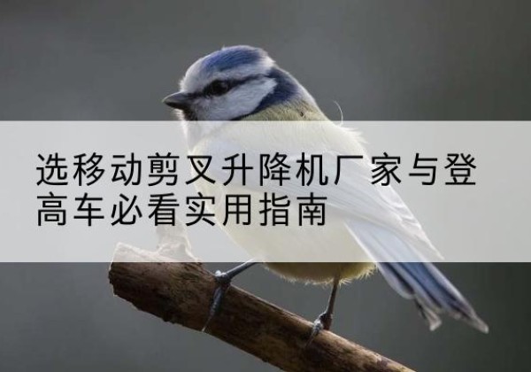 奇台电动升降机厂家-选移动剪叉升降机厂家与登高车必看实用指南