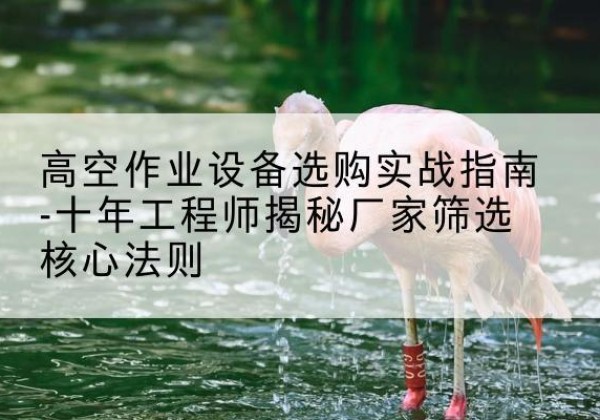 奇台剪叉式升降机厂家-高空作业设备选购实战指南-十年工程师揭秘厂家筛选核心法则
