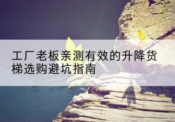 奇台升降货梯怎么选-工厂老板亲测有效的升降货梯选购避坑指南